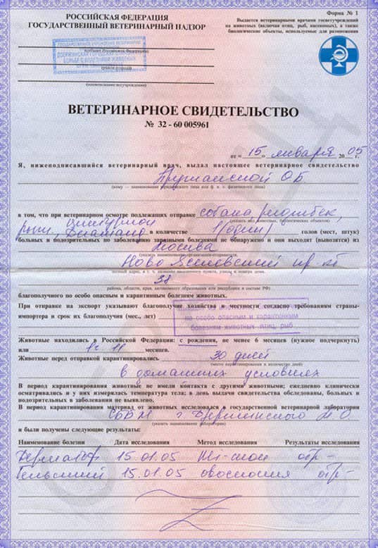veterinarnaya-spravka-f-1 Ветеринарная справка форма №1