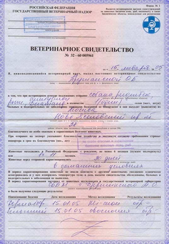 veterinarnaya-spravka-formy-f-1 Справка Ф1