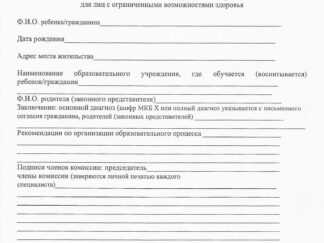 Справка 297/у для ПМПК